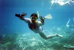 2000 - Australie 287T